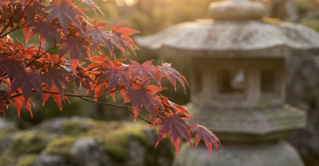 Érables japonais rouges en automne au Parc Oriental de Maulévrier